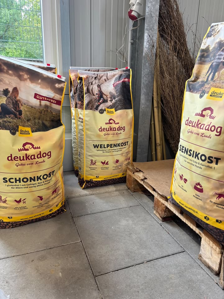 Hundefutter im Geschäft