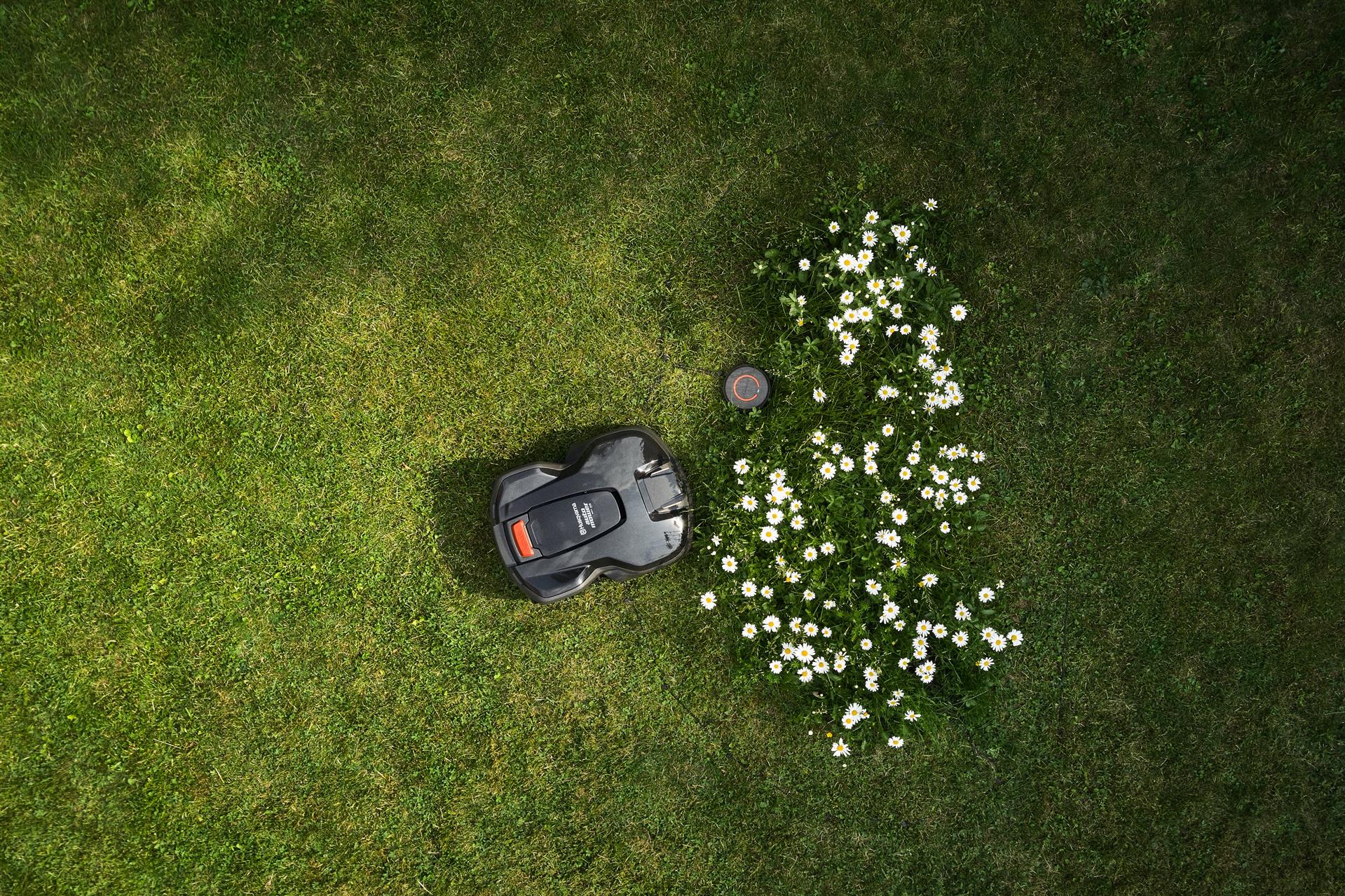 Garden High.jpeg